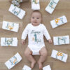 Kız Erkek Bebek 12'li Aylık Uzun Kol Body Set Her Aya Özel Baskılı %100 Pamuk Bebek Hediyesi STL7241